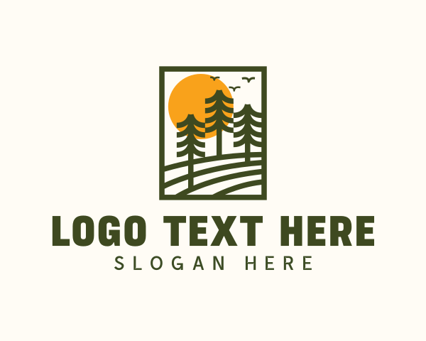 Pine Tree Eco Sunset